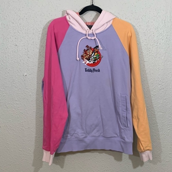 Teddy Fresh Looney Tunes Embroidered Color Block Pull-Over Hoodie size L - Picture 1 of 10
